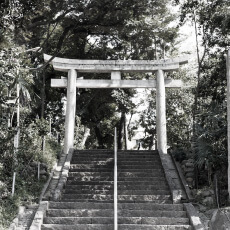代々木八幡宮 / 神社